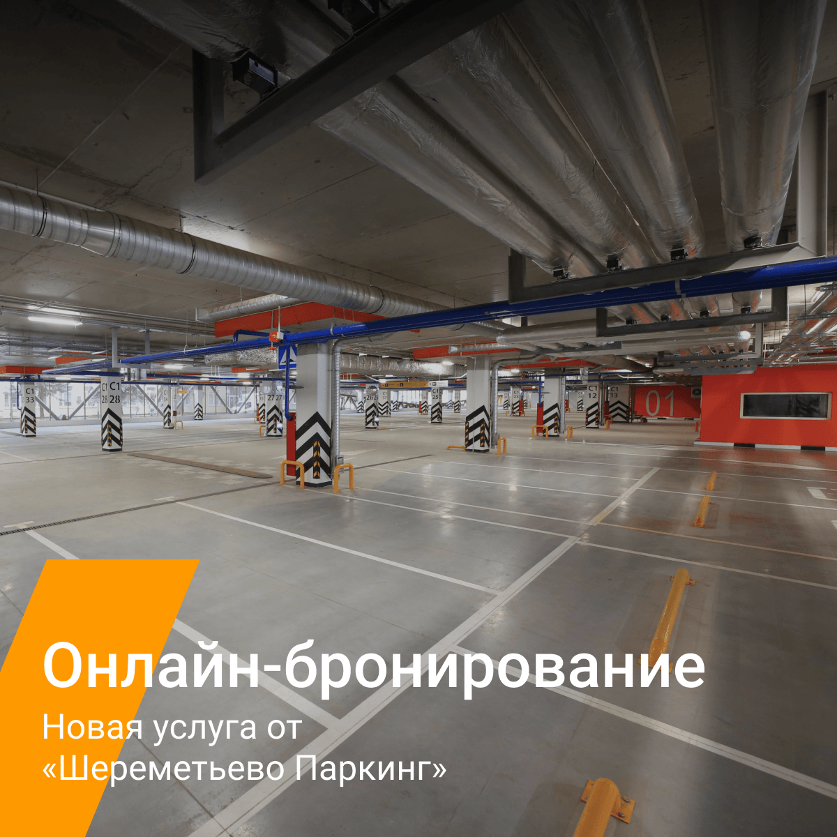 Шереметьево Стоянка Автомобилей Цена Сутки